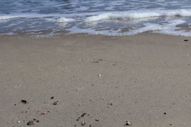 Close-up of a sandy beach with small scattered shells, as gentle ocean waves approach the shore, creating a peaceful and serene coastal scene. clipart