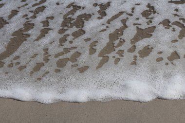 Islak kumda dinlenen deniz köpüğü desenlerinin detaylı görüntüsü su ve kıyı arasındaki hassas etkileşimi gösteriyor.