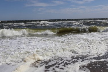 A vivid coastal scene featuring a rolling wave approaching the sandy shore with white foam and a bright blue sky clipart