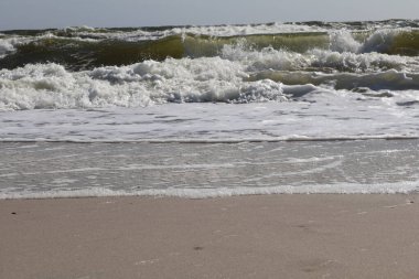 Rolling Waves Sandy Shoreline 'a çarpıyor. Beyaz köpüklü dalgaların kıyıya yaklaştığı dinamik bir sahil sahnesi, parlak güneş ışığı altında okyanusun enerjisini yakalıyor.