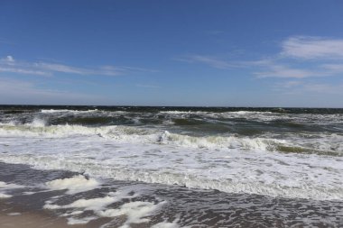 Foamy Waves Rolling Onto a Sandy Beach Under a Clear Blue Sky. A lively seascape featuring waves crashing onto the shoreline, frothy foam spreading across the sand, and a bright sunny day clipart