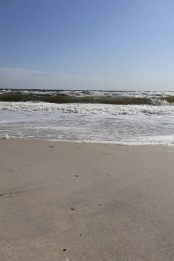 Okyanus Dalgalarıyla Minimalist Kumsal Manzarası. Dokunulmamış kum, yumuşak köpük ve açık mavi gökyüzünün altında dalgaların dalgalandığı berrak, sakin bir sahil sahnesi..