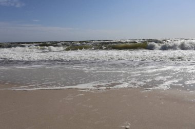 Gentle waves of the Black Sea roll onto a sandy shore under a clear blue sky. The foamy surf and calm atmosphere create a serene coastal scene perfect for relaxation and travel themes. clipart