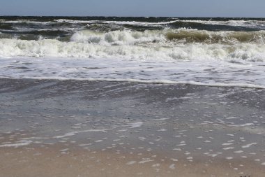 Foamy waves crash gently onto the sandy shore of the Black Sea, creating dynamic patterns in the wet sand. The scene captures the peaceful yet energetic essence of a coastal landscape. clipart