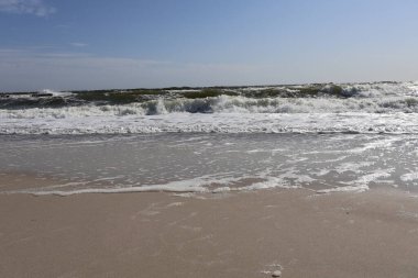 Hafif Dalgalar ve Temiz Gök 'le Sandy Plajı. Yumuşak okyanus dalgaları ve berrak mavi gökyüzü ile sakin deniz manzarası ve doğa temaları için mükemmel olan sakin bir sahil manzarası..