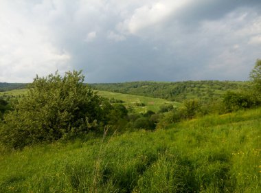 Rolling Hills ve Lush Green Meadow: Yuvarlanan tepeler, canlı yeşil çayırlar ve bulutlu gökyüzünün altında barışı ve doğal güzelliği çağrıştıran bir ağaç ile sakin bir kır manzarası.