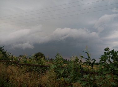 Kırsal bir arazide fırtınalı bir gökyüzü, mısır bitkileri ve ahşap çitlerle kaplı. Dramatik hava ve kırsal alan. Tasarım ve baskı için doğa ve tarım kavramı