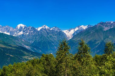 View of snowy mountain peaks through trees in Svaneti region, Georgia. Copy space.
