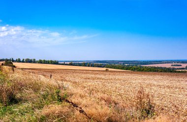 Ukrayna. Güneşli bir sonbahar günü. Tarım tarlaları. Toplanan tarlalarda hasat..