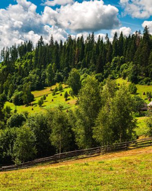 Ukrayna. Karpatlar 'da güneşli bir yaz günü. Karpatlar' ın üzerinde beyaz bulutlar olan mavi gökyüzü. Güneş ağaçları ve çayırı samanlıklarla aydınlatıyor..