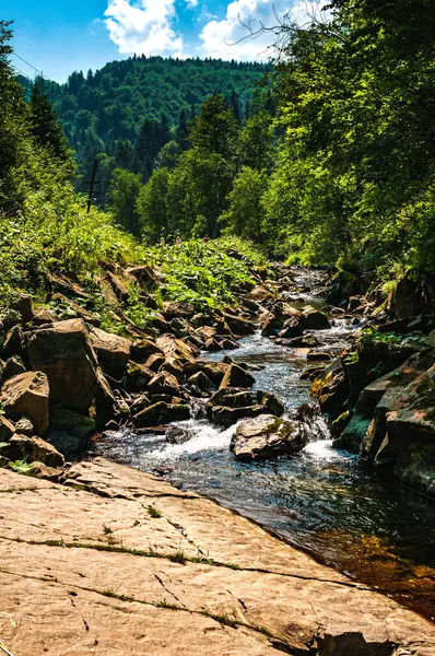 Ukrayna. Dağlarda güneşli bir yaz günü. Kayaların üzerinden bir dağ nehri akıyor. Arka planda Karpat dağları ve ormanları var..