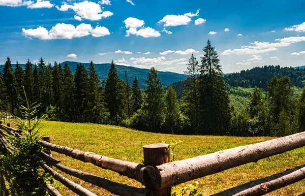 Ukrayna. Karpatlar 'ın görüşü. Karpatlar 'ın üzerinde beyaz bulutlar olan mavi gökyüzü. Arka plan bulanık. Boşluğu kopyala.