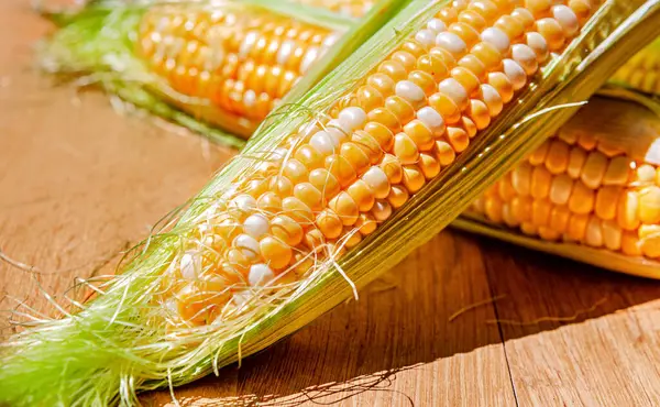 stock image Cobs of raw corn on a wooden table.Vegetarian food.The background is blurred.Copy space.