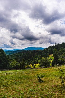 Karpatlar. Dağ manzarası. Haystack ormanları dağlarda yetişir..