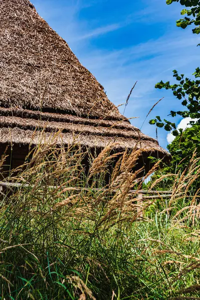 stock image An 18th-century hut with a thatched roof against a blue sky. Museum of folk architecture and life 