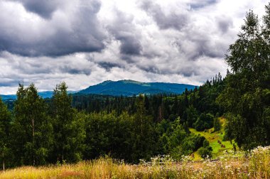 Karpatlar 'da bulutlu bir gün. Dağ manzarası. Haystack ormanları dağlarda yetişir..
