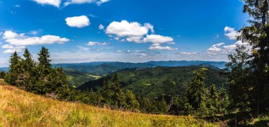 Karpatlar 'ın Panorama' sı. Dağlar ormanla kaplı. Mavi gökyüzü beyaz bulutlarla..