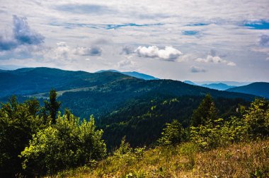 Karpatlar 'da yaz günü. Dağ manzarası. Ormanlar dağların yamaçlarında yetişir. Bulutlu güzel bir gökyüzü. Boşluğu kopyala.