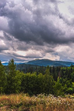 Karpatlar 'da yaz sabahı. Dağın manzarası. Güzel gri gökyüzü ve yağmur bulutları. Boşluğu kopyala.