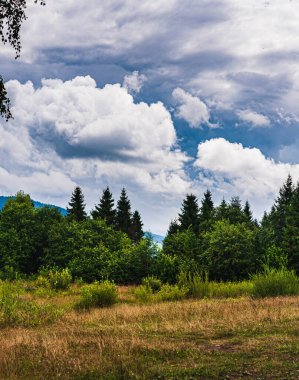 Karpatlar 'da ormanın üzerinde güzel bulutlar olan mavi gökyüzü. Uzayı kopyala..