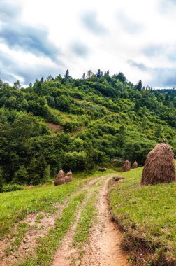 Ukrayna Karpatları 'nda yaz mevsimi. Dağ manzaralı. Ormanlar dağların yamaçlarında yetişir. Toprak yolda saman yığınları. Boşluğu kopyala.