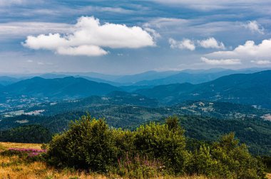 Karpatlar 'da yaz günü. Dağ manzarası. Ormanlar dağların yamaçlarında yetişir. Bulutlu güzel bir gökyüzü. Boşluğu kopyala.