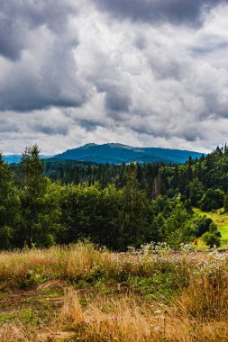 Karpatlar 'da yaz sabahı. Dağın manzarası. Güzel gri gökyüzü ve yağmur bulutları. Boşluğu kopyala.