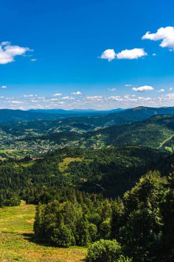 Karpatlar 'da yaz günü. Dağ manzarası. Ormanlar dağların yamaçlarında yetişir. Bulutlu güzel bir gökyüzü. Boşluğu kopyala.