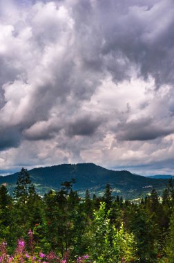 Karpatlar 'da yaz sabahı. Dağın manzarası. Güzel gri gökyüzü ve yağmur bulutları. Boşluğu kopyala.