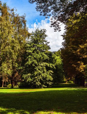 Lviv 'deki Stryisky Park' taki açıklık. Güneş ışığı ağaçların yapraklarından doğuyor. Boşluğu kopyala..