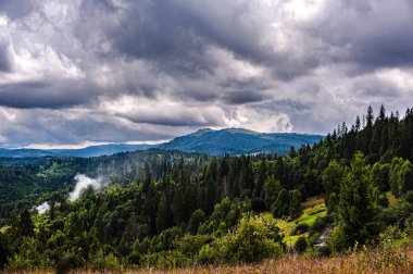 Karpatlar 'da yaz sabahı. Dağların manzarası, dağların manzarası. Güzel gri gökyüzü ve yağmur bulutları. Boşluğu kopyala.