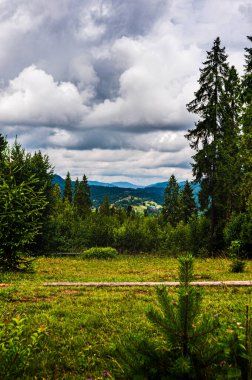 Karpatlar 'da bir ormanda, ladin ve yaprak döken ağaçlarla çevrili bir açıklık. Dağ manzaralı. Bulutlu gökyüzü..