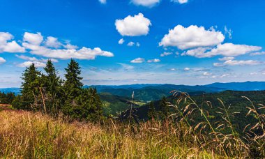 Karpatlar 'da yaz günü. Dağ manzarası. Ormanlar dağların yamaçlarında yetişir. Bulutlu güzel bir gökyüzü. Boşluğu kopyala.