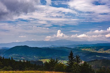 Karpatlar 'da yaz günü. Dağ manzarası. Ormanlar dağların yamaçlarında yetişir. Bulutlu güzel bir gökyüzü. Boşluğu kopyala.