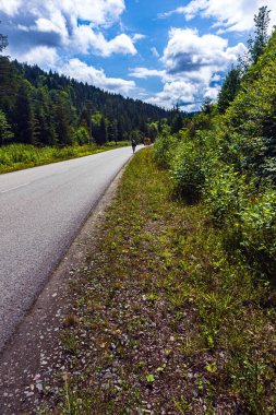 Karpatların dağları ve ormanları arasındaki yol. Uzayı kopyalayın..