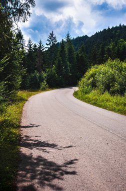 Karpatların dağları ve ormanları arasındaki yol. Uzayı kopyalayın..