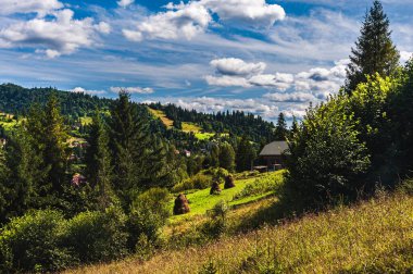 Karpatların dağları ve ormanları arasındaki yol. Uzayı kopyalayın..