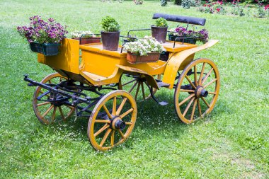Bahçesinde güzel çiçekler olan ahşap bir araba.