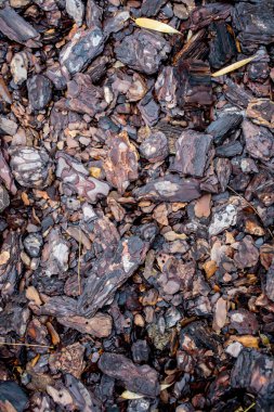 Korteks ya da ahşap arkaplan dokusu ve bahçede küçük doğal ahşap parçaları.