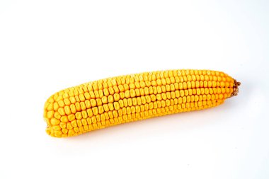Beyaz arka planda olgun mısır
