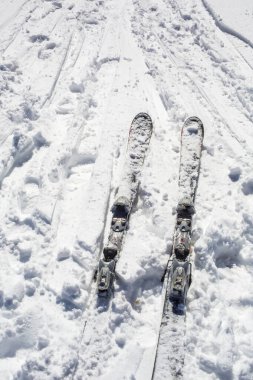 Bir çift dağ gökyüzü ve arka plandaki dağlarda taze sabah yamacı. Seçici bir odak noktası.