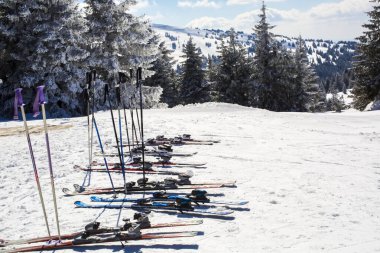 Bir çift dağ gökyüzü ve arka plandaki dağlarda taze sabah yamacı. Seçici bir odak noktası.