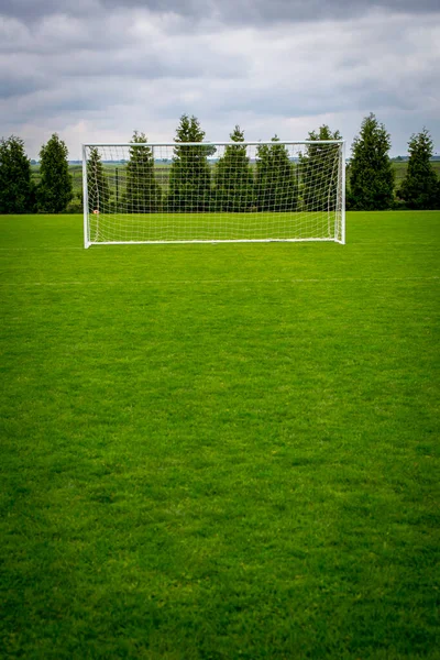 Soccer Goal on green field