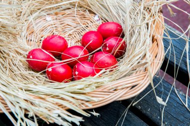 Yuvada kırılan Paskalya kırmızı yumurtaları