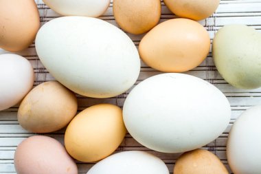 Bir Kaz yumurtası, Ördek yumurtası, Tavuk yumurtası ve Gine Fowls yumurtası.