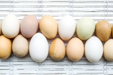 Bir Kaz yumurtası, Ördek yumurtası, Tavuk yumurtası ve Gine Fowls yumurtası.