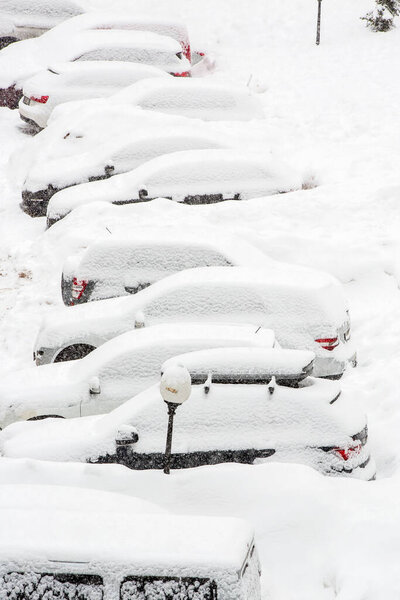 Cars covered with fresh white snow 