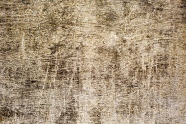 Ağaç kabuğunun doğal arkaplan olarak kullanımı