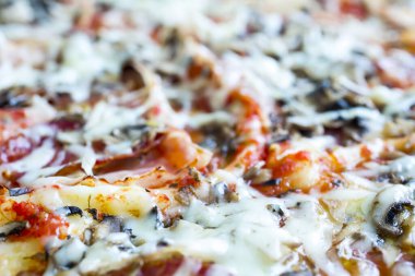 taze lezzetli pizza, yakın.