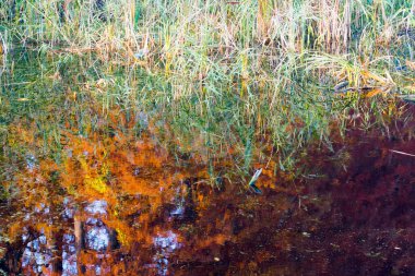 Sonbaharda bir nehrin manzarası